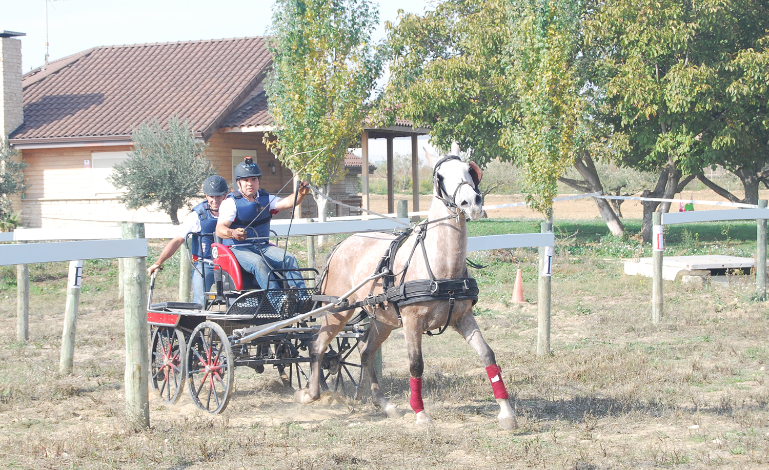 Emocionante Final del Campeonato Navarro de Enganches